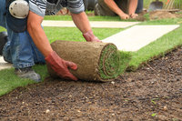 An image of a man laying sod, grass, turf.
